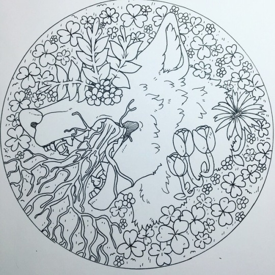 A traditionaly inked drawing of a severed wolf head lying in dense ground foliage. Tulips sprout from its neck, roots pouring from its mouth as ferns and flowers grow from its eyesockets.